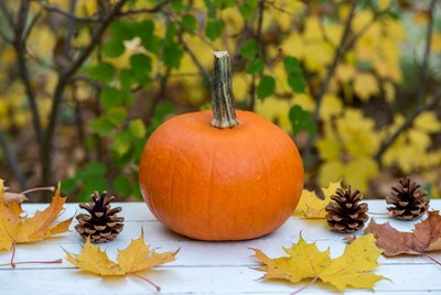 Fall pumpkin with pine cones