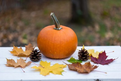 Autumn pumpkin with leaves and pinecones