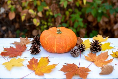 Pumpkin surrounded by autumn leaves and pinecones