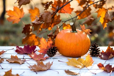 Autumn scene with pumpkin and leaves