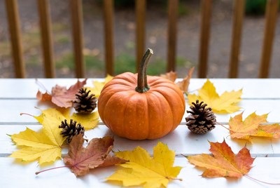Autumn decoration with pumpkin and leaves