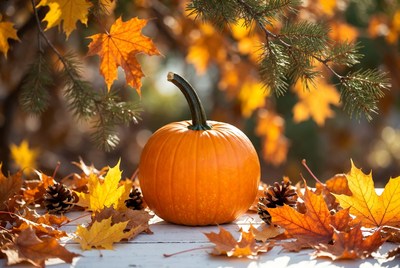 Autumn pumpkin with leaves and pinecones