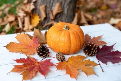 Fall decorations on a wooden surface
