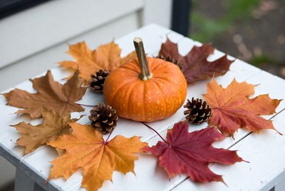 Decorative pumpkin with autumn leaves and cones