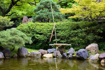 Bamboo fountain in japanese garden setting