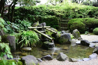 Water feature in japanese garden setting