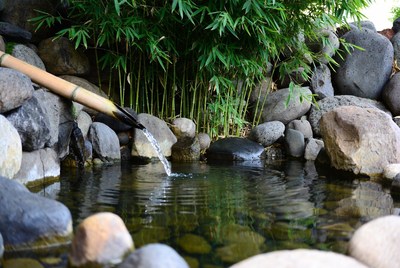 Bamboo water feature in garden