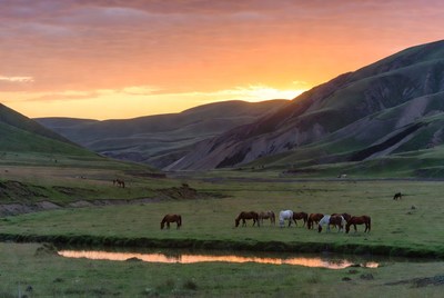 Horses grazing at sunset in mountains