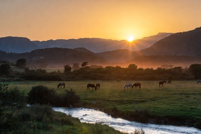 Horses grazing at sunset in the mountains