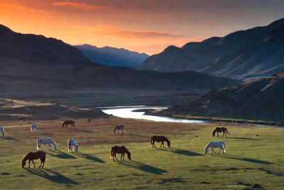 Horses grazing by river at sunset