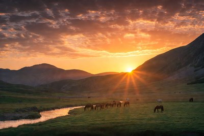 Sunset over horses in valley