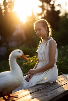 Girl and goose at sunset