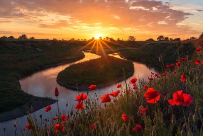 Sunset over winding river and poppies