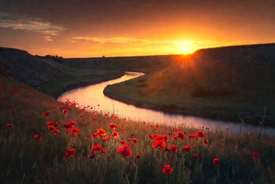 Sunset over river and poppies