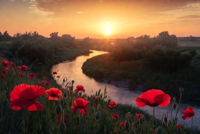 Sunset over the river with flowers