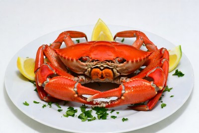 Fresh crab on a white plate with garnish