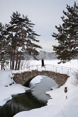 Walking on a snowy bridge