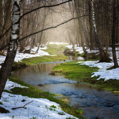 Snowy stream in winter forest
