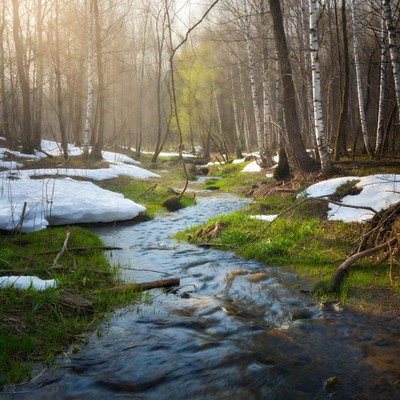 Stream flows through winter woods