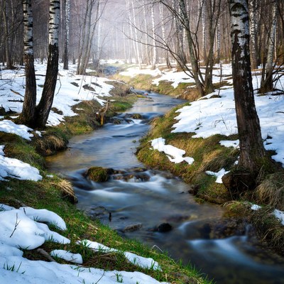 Winter stream flowing through a forest