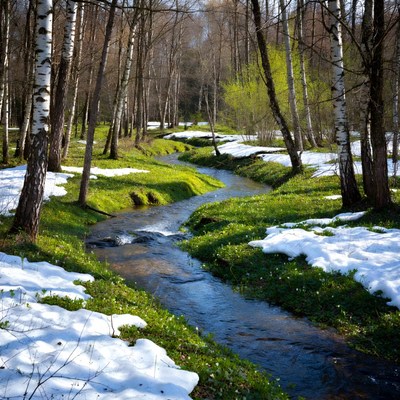 Snow and stream in forest