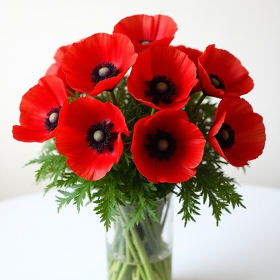 Bright red flowers in a glass vase