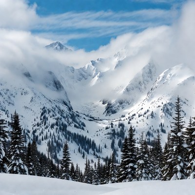Winter scene in the mountains with snow
