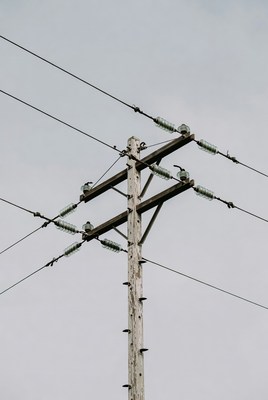 Utility pole with power lines in daylight