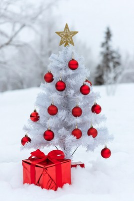 Christmas tree on snowy ground