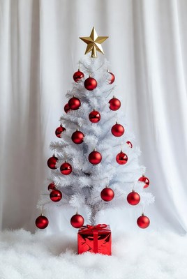 Christmas tree and gift in white setting