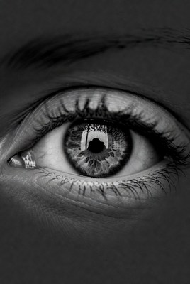 Close-up of an eye with reflection