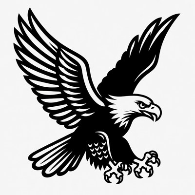 Eagle in flight with wide wings