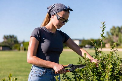 Young person trims bushes outside in sunlight