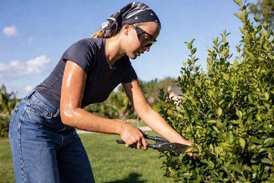 Woman gardening in bright sunlight