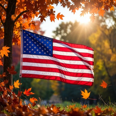 Sunlight on american flag in autumn