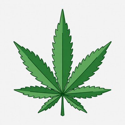 Green leaf on simple background