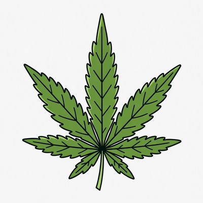 Cannabis leaf drawing in simple style