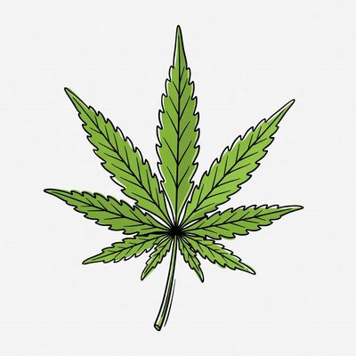 Green leaf on white background