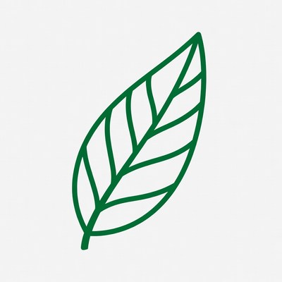 Simple green leaf design outline