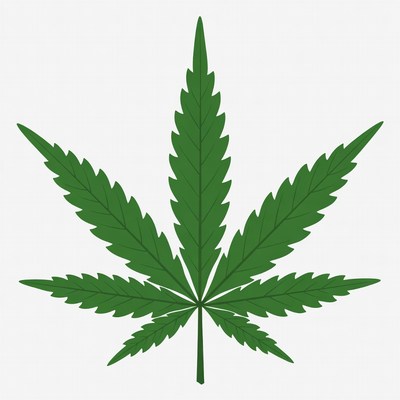 Cannabis leaf with distinctive features