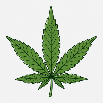 Green leaf of cannabis plant close up