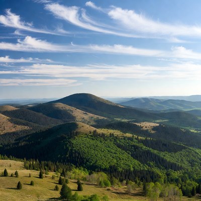 Landscape view of rolling hills and trees