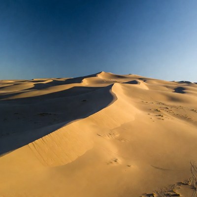 Sandy landscape in the desert at sunset