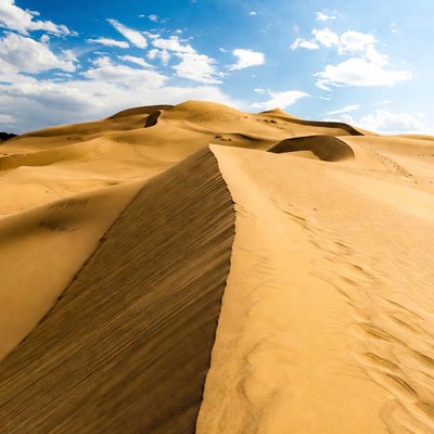 Sand dunes in bright sunlight