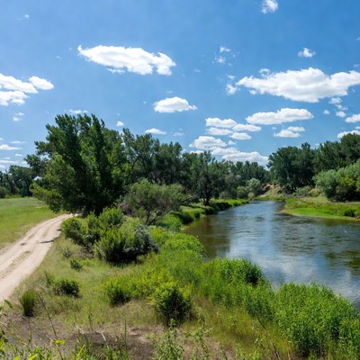 Riverbank on a sunny day