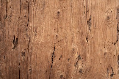 Wood texture with natural grains and lines