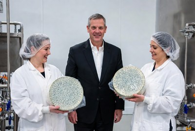 Cheese production in a factory setting