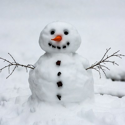 Snowman in winter yard with sticks