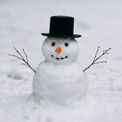 Snowman stands in winter snow