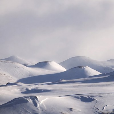 Snowy landscape in winter light